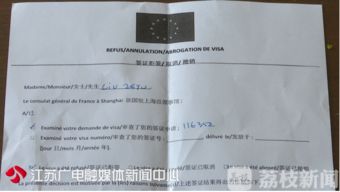 代辦簽證延誤致三童滯留國外 國內旅游業(yè)務之責誰當承擔？