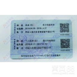 深圳 現(xiàn)代都市與多元體驗的完美融合